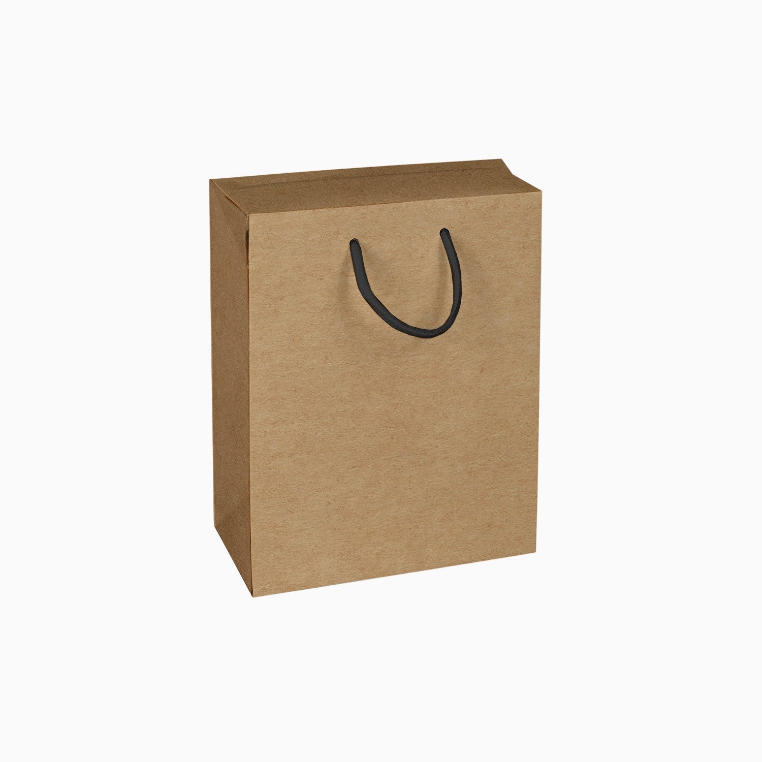 TWO-IN-ONE PAPER BAG & BOX