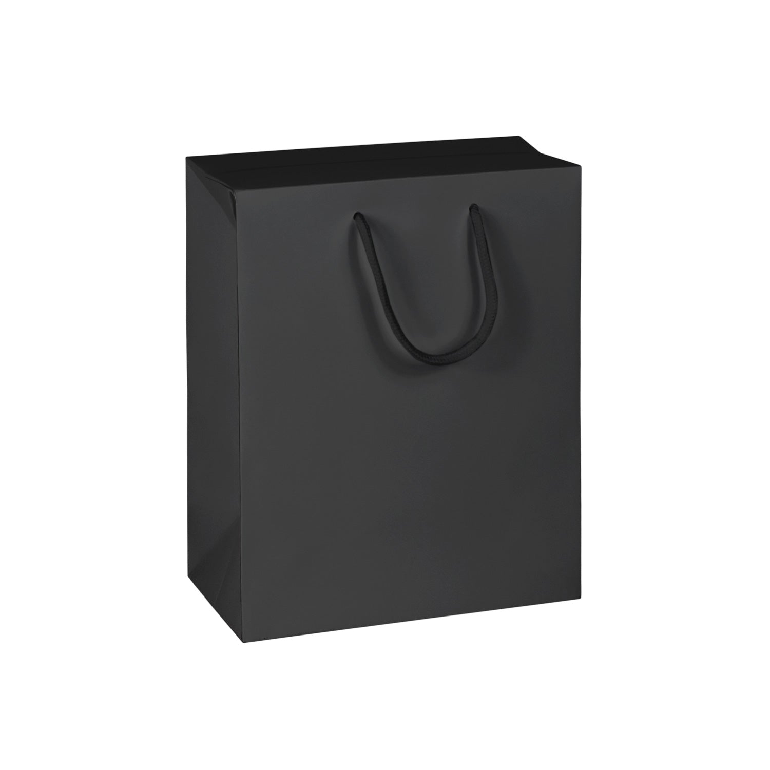 TWO-IN-ONE PAPER BAG & BOX