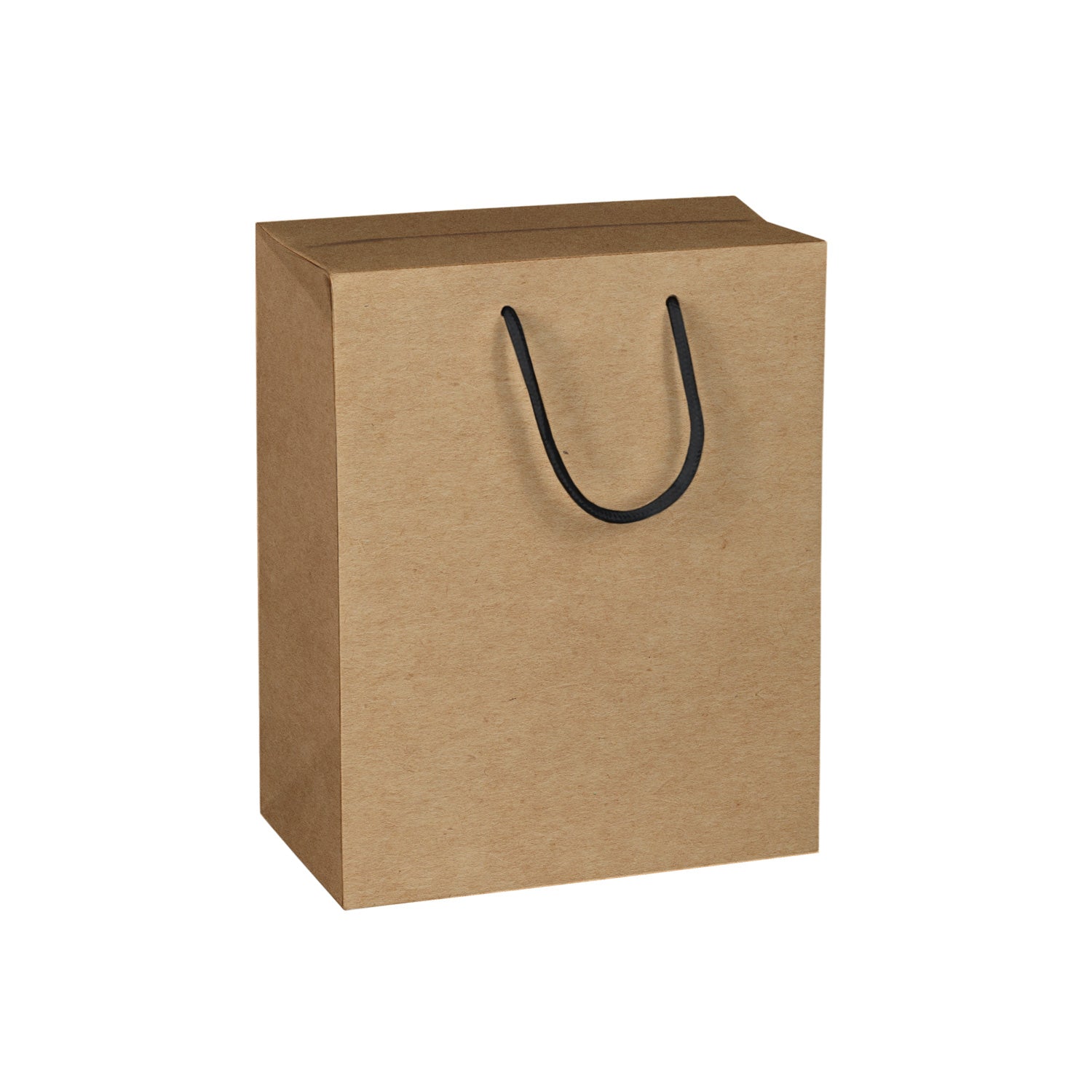 TWO-IN-ONE PAPER BAG & BOX