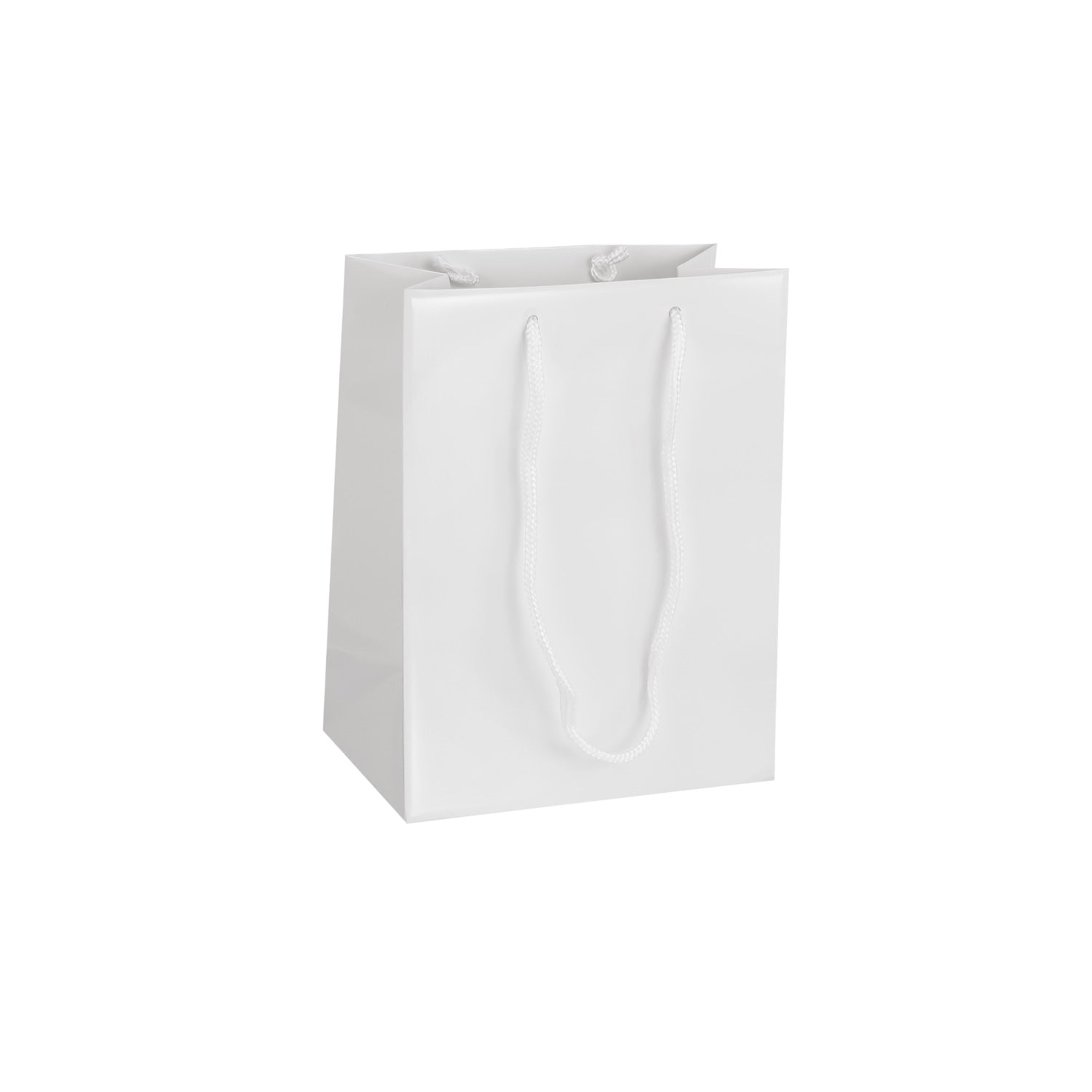 GLOSSY PREMIUM BAGS WITH CORD HANDLE (ULTRA)