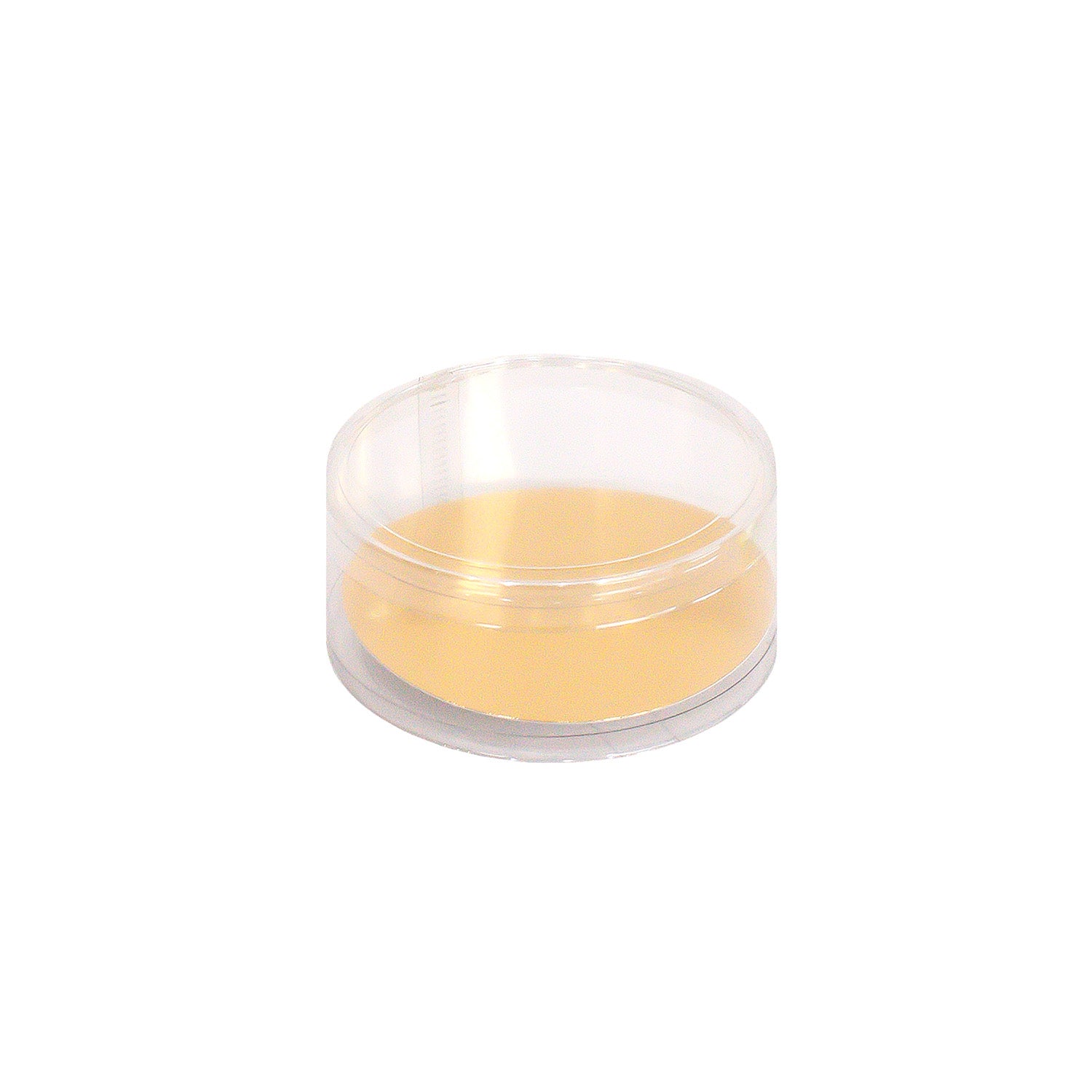 CELLO BOX CYLINDER SHAPE