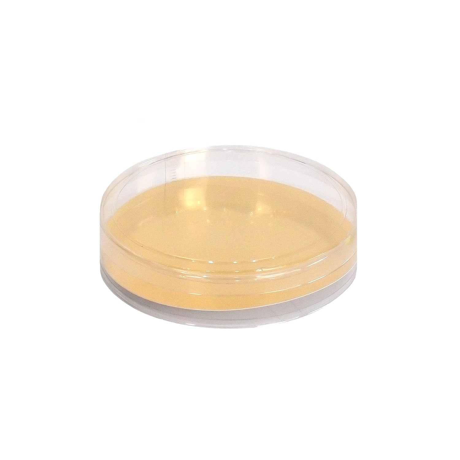 CELLO BOX CYLINDER SHAPE