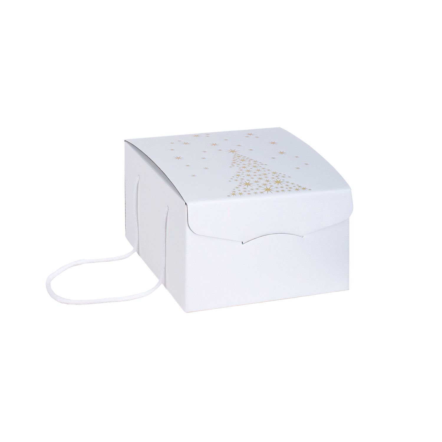 PRINTED CHEST BOX WITH ROPE HANDLE