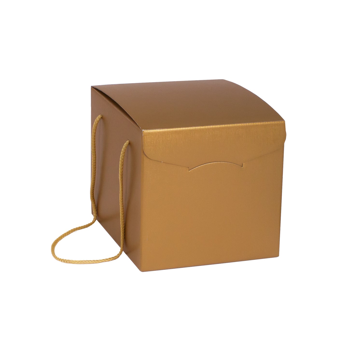 METALLIC CHEST BOX WITH ROPE HANDLE