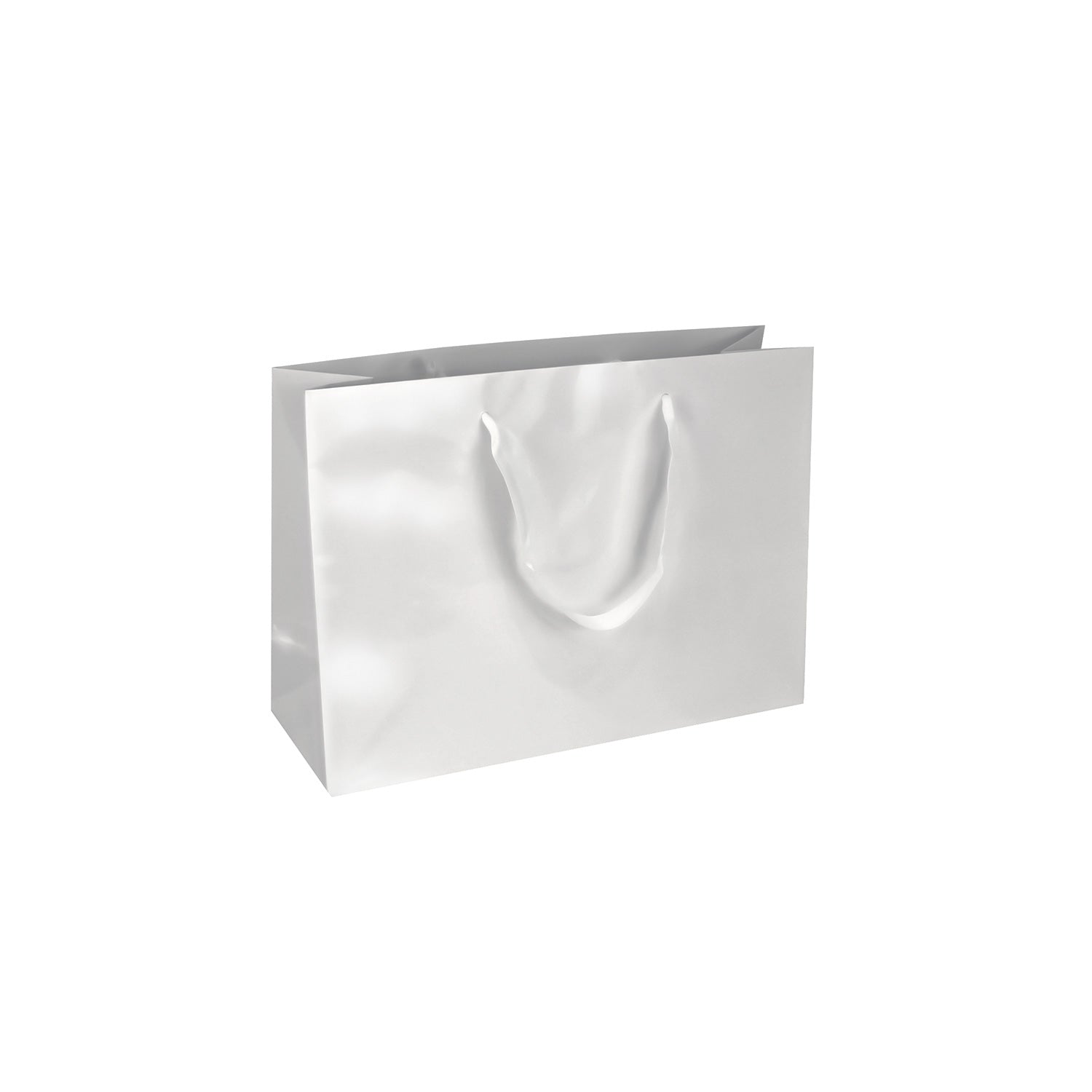 GLOSSY PREMIUM BAGS W/SATIN HANDLE (OXFORD)