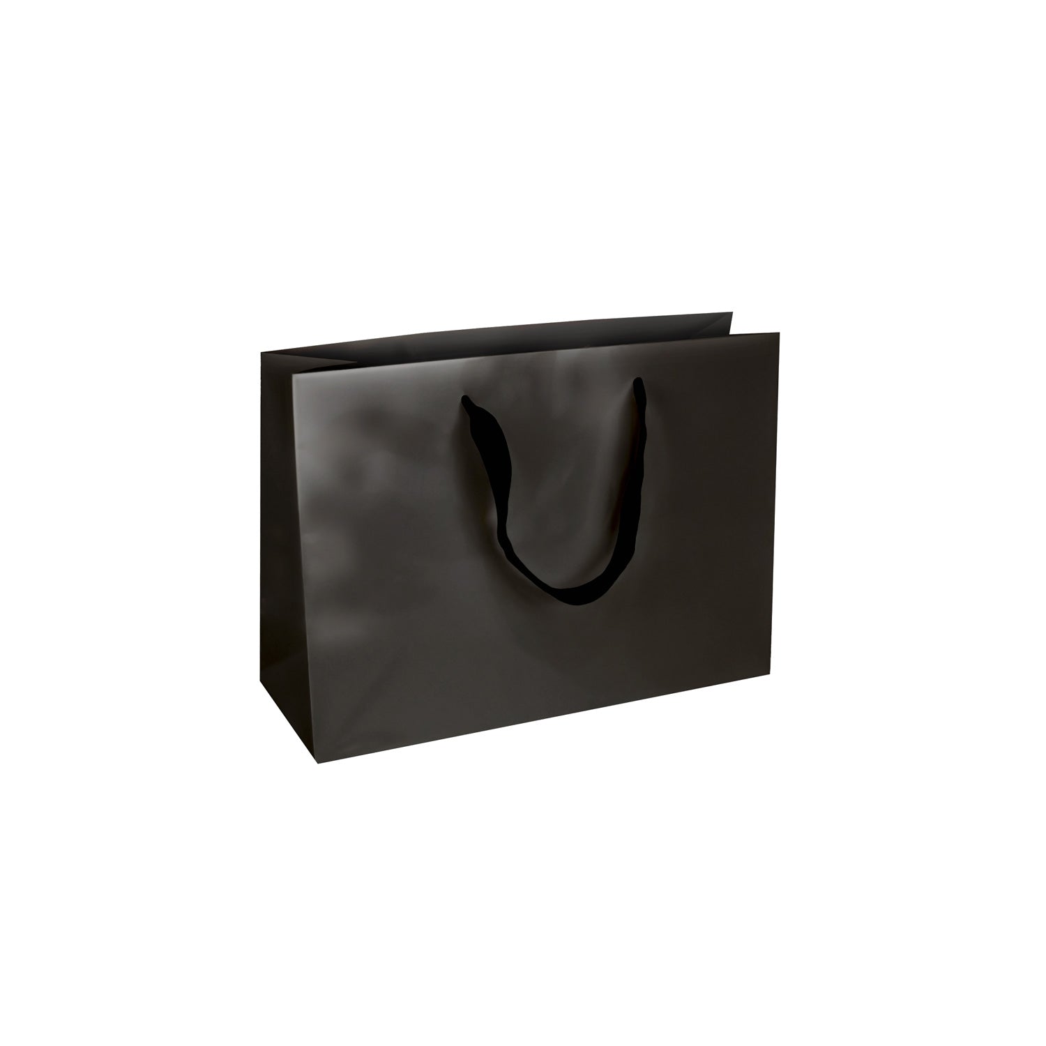 GLOSSY PREMIUM BAGS W/SATIN HANDLE (OXFORD)