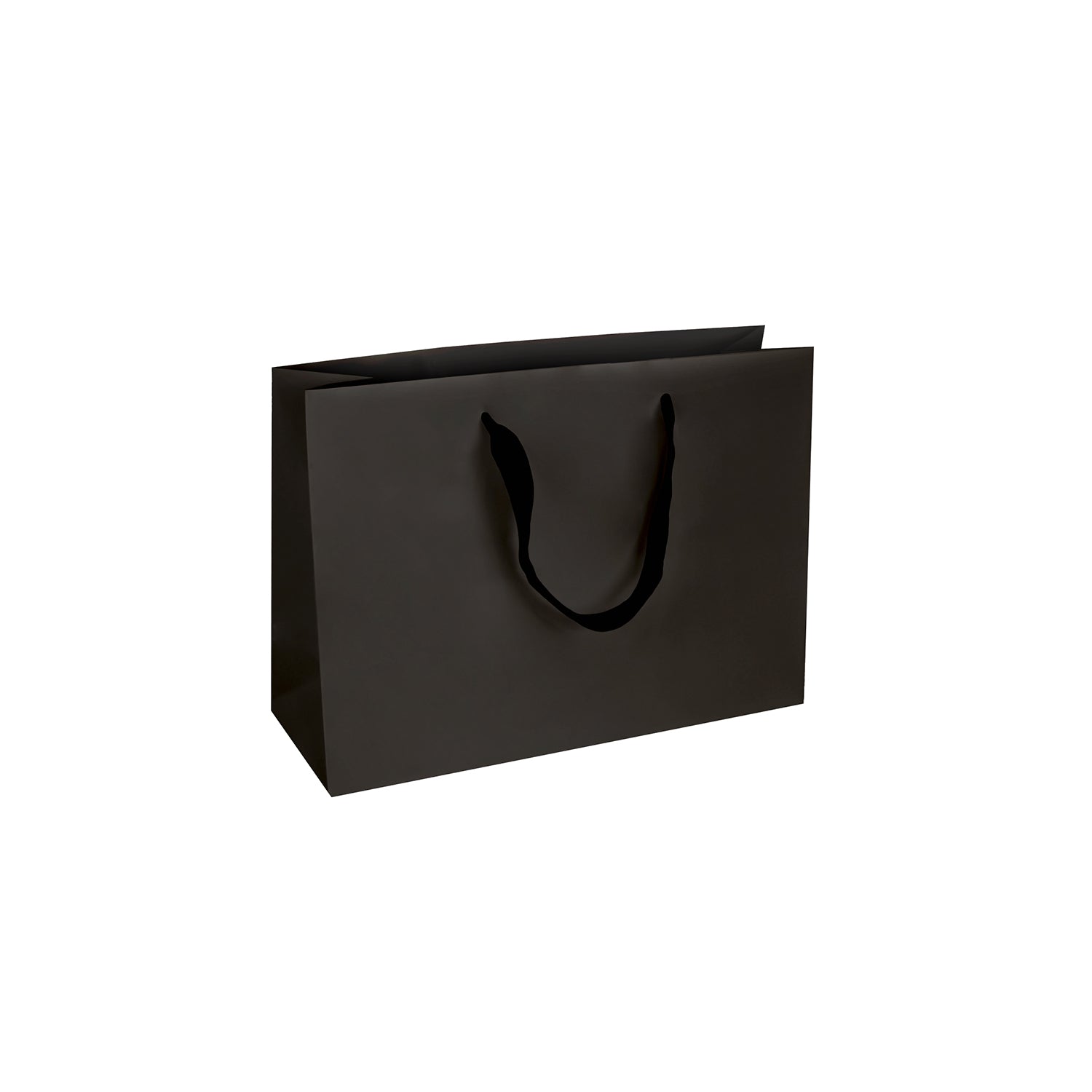 MATTE PREMIUM BAGS W/SATIN HANDLE (OXFORD)