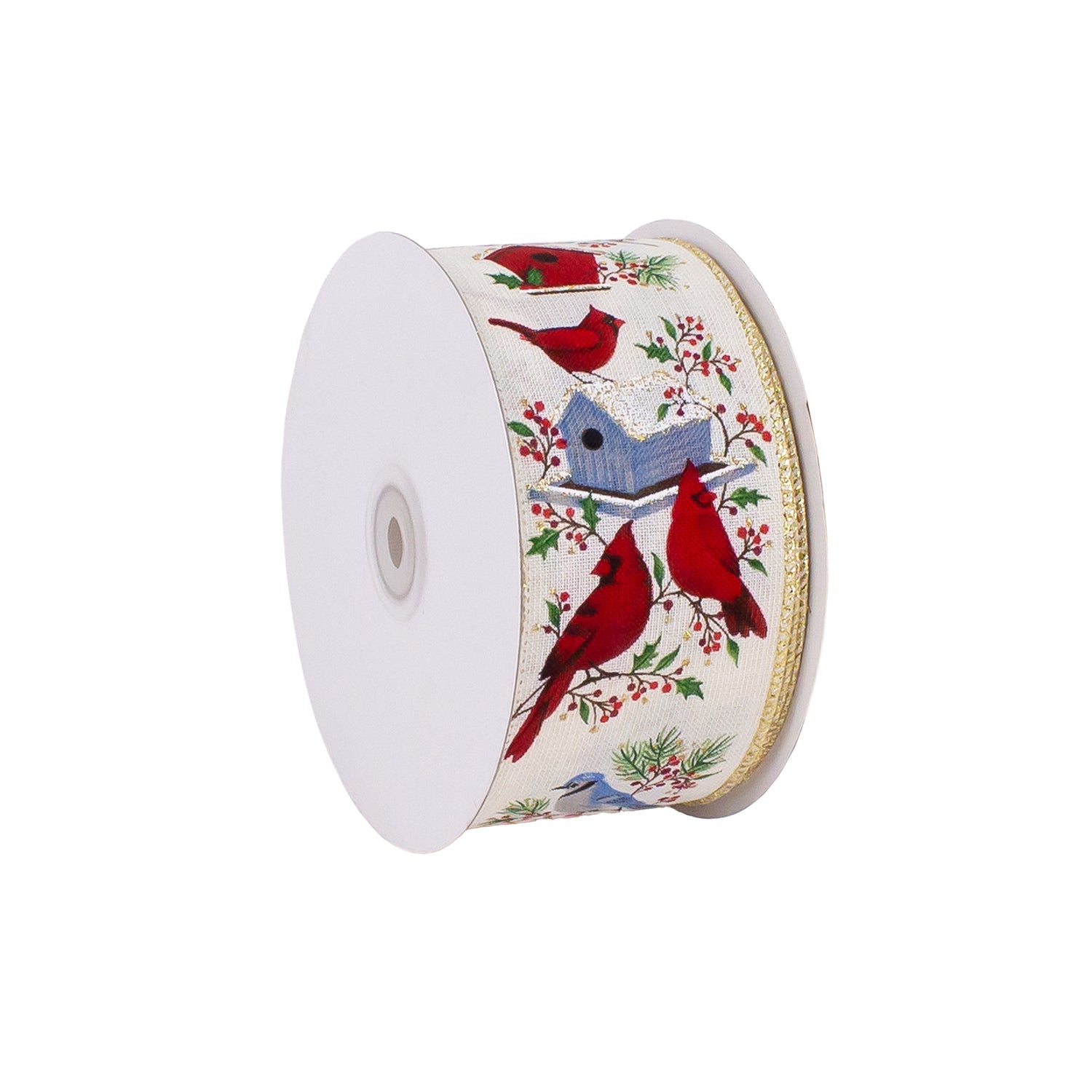 CARDINAL WINTER BIRDS