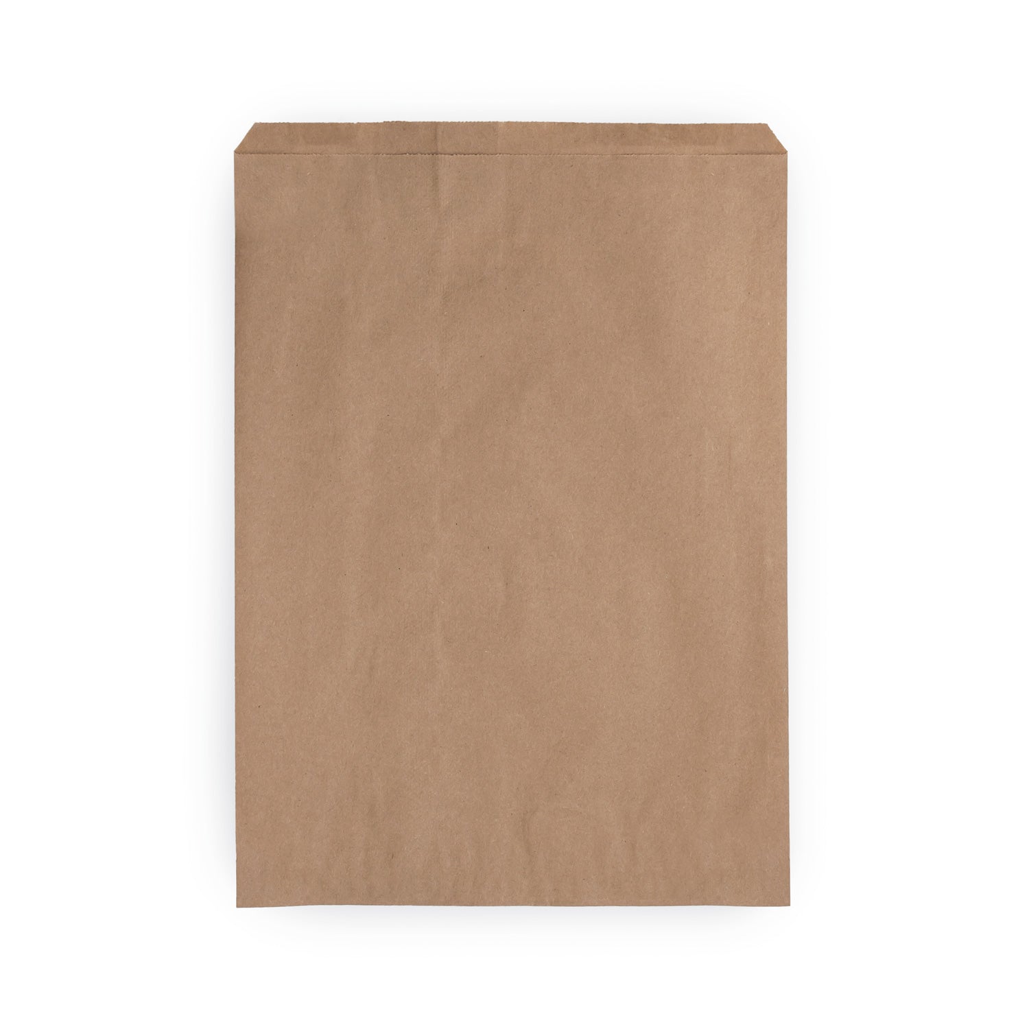 KRAFT NOTION PAPER BAGS