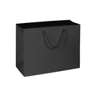 TWO-IN-ONE PAPER BAG & BOX