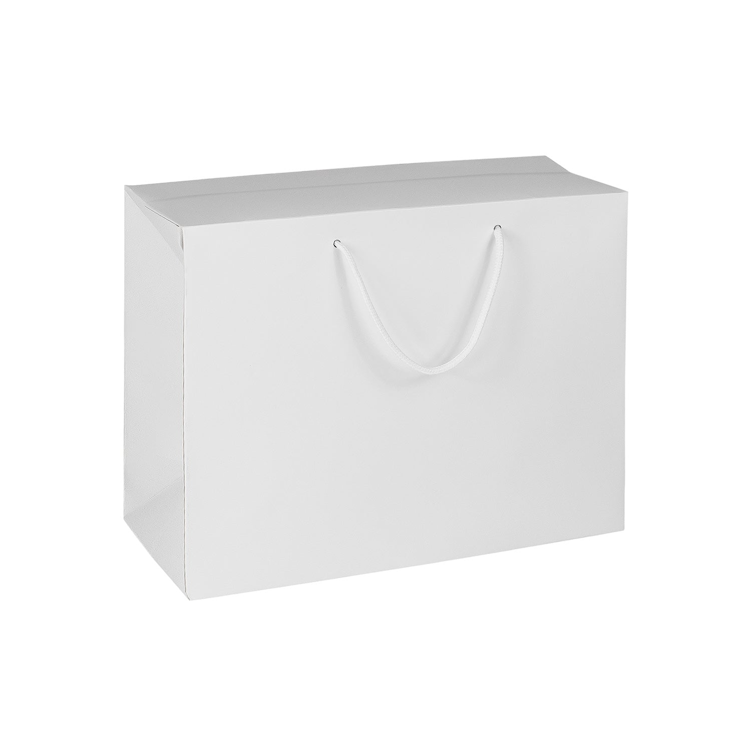 TWO-IN-ONE PAPER BAG & BOX