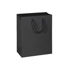 TWO-IN-ONE PAPER BAG & BOX