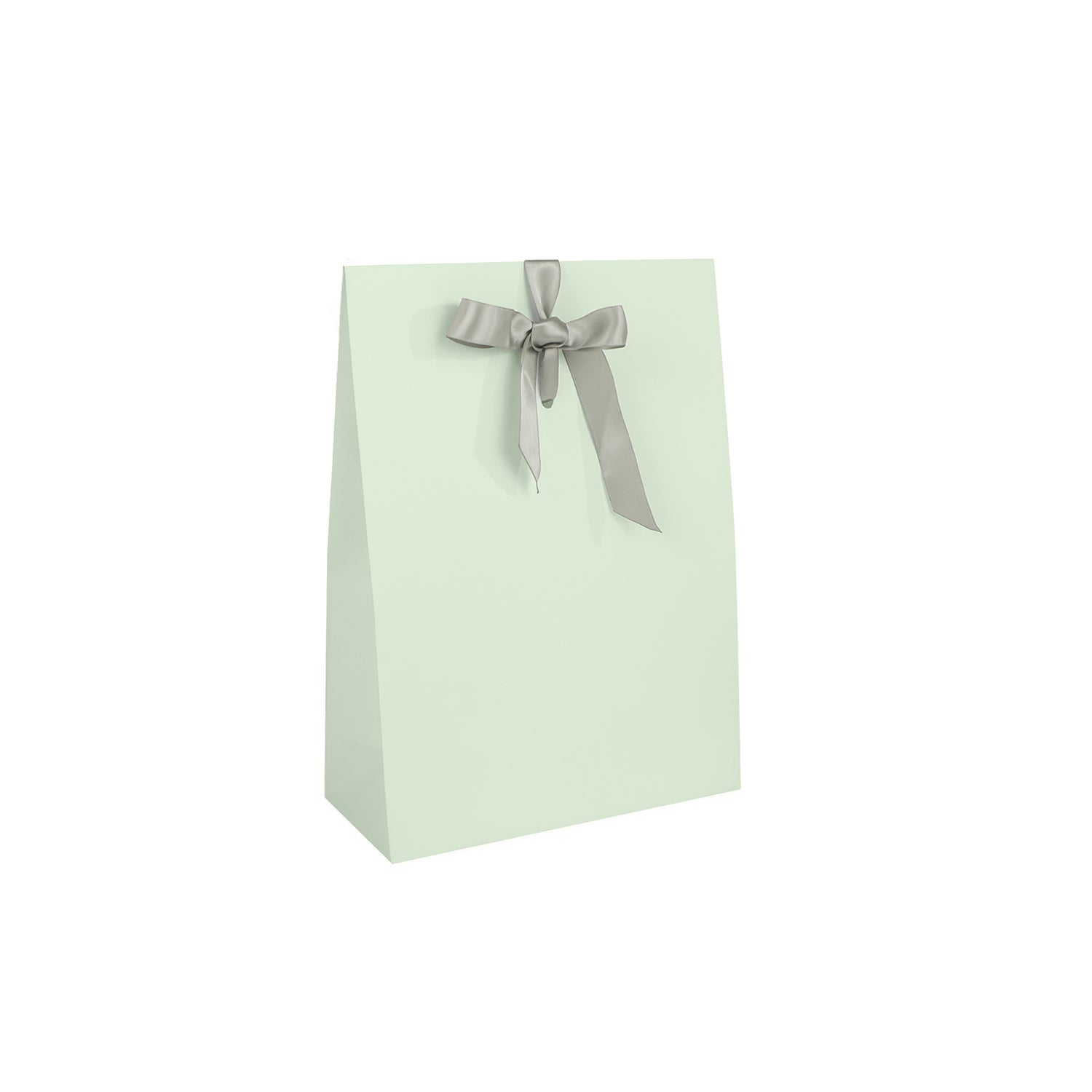 TRIANGULAR POUCH WITH CENTER RIBBON