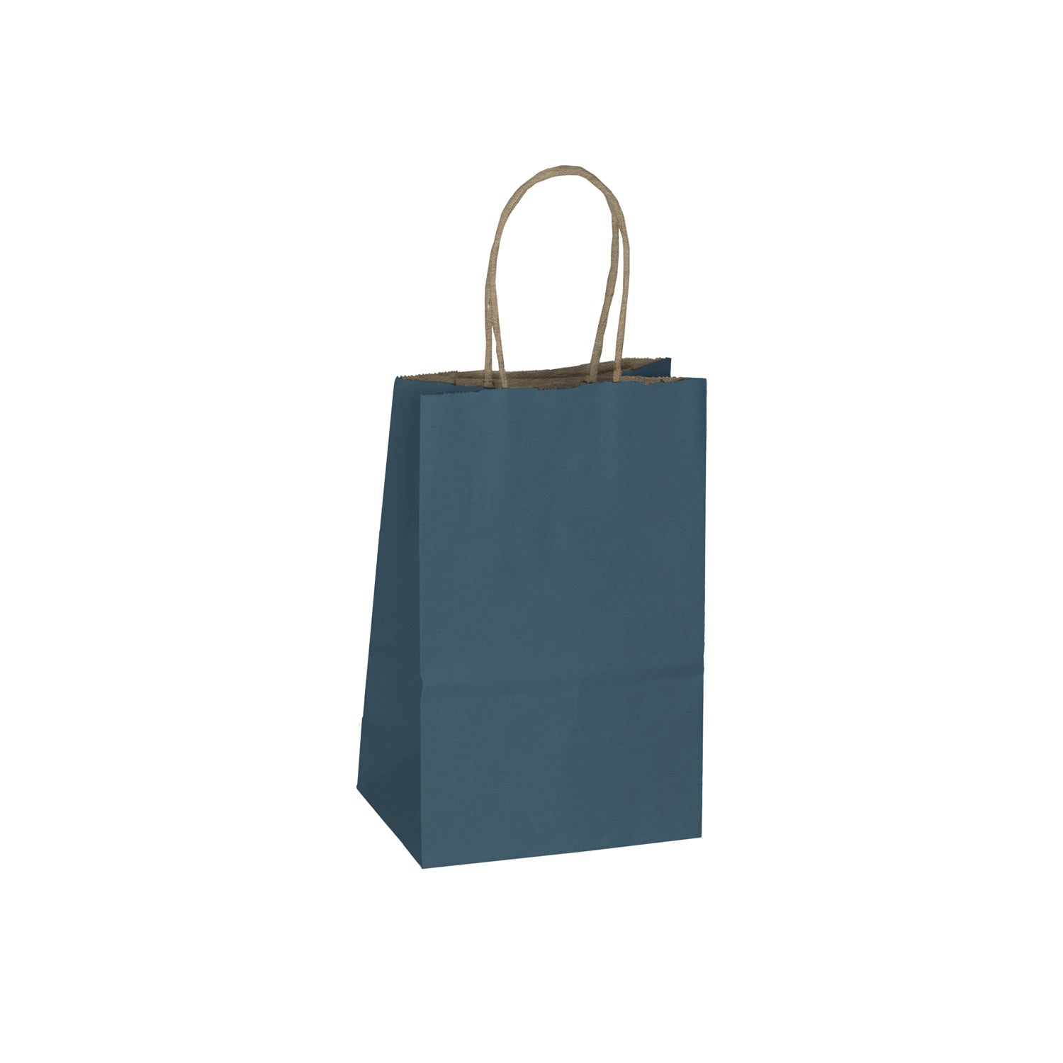 Navy Kraft Paper Shopping Bags with Twisted Handles | Retail