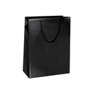 GLOSSY PREMIUM BAGS WITH CORD HANDLE (ULTRA)