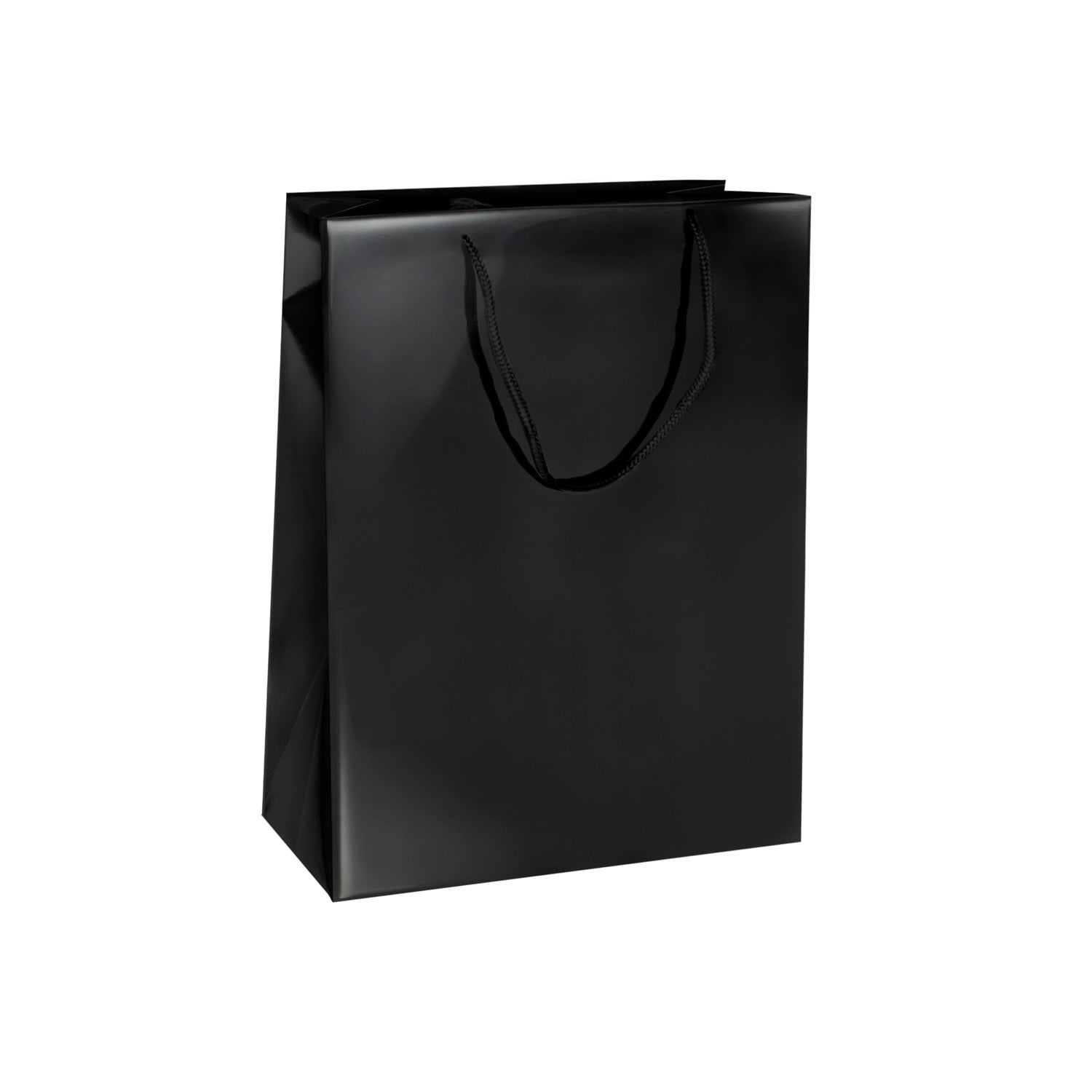 GLOSSY PREMIUM BAGS WITH CORD HANDLE (ULTRA)