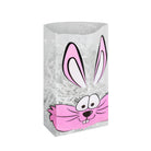 COTTONTAIL BUNNY EASTER CELLO BAGS