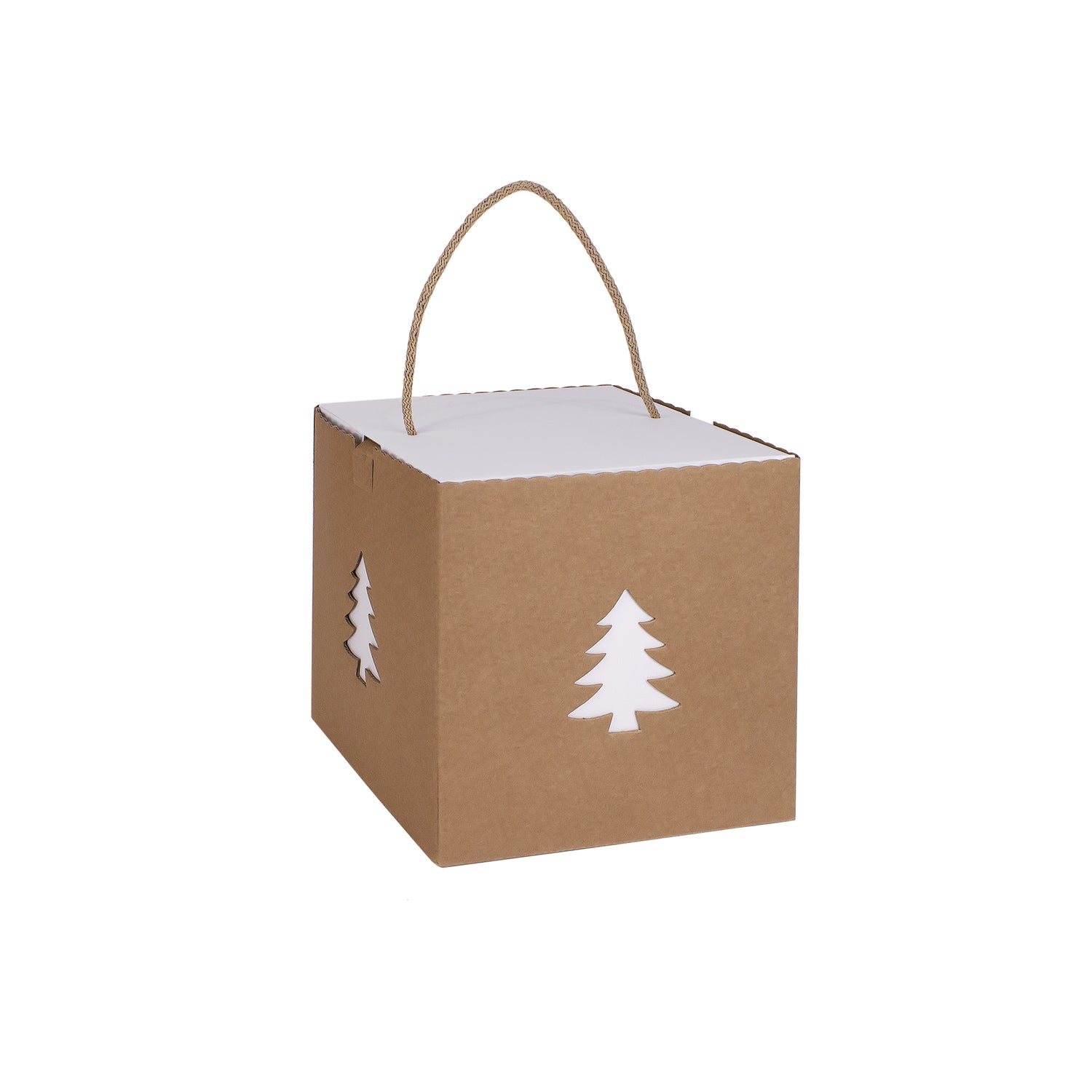 SQUARE BOX WITH CHRISTMAS TREE CUT OUT