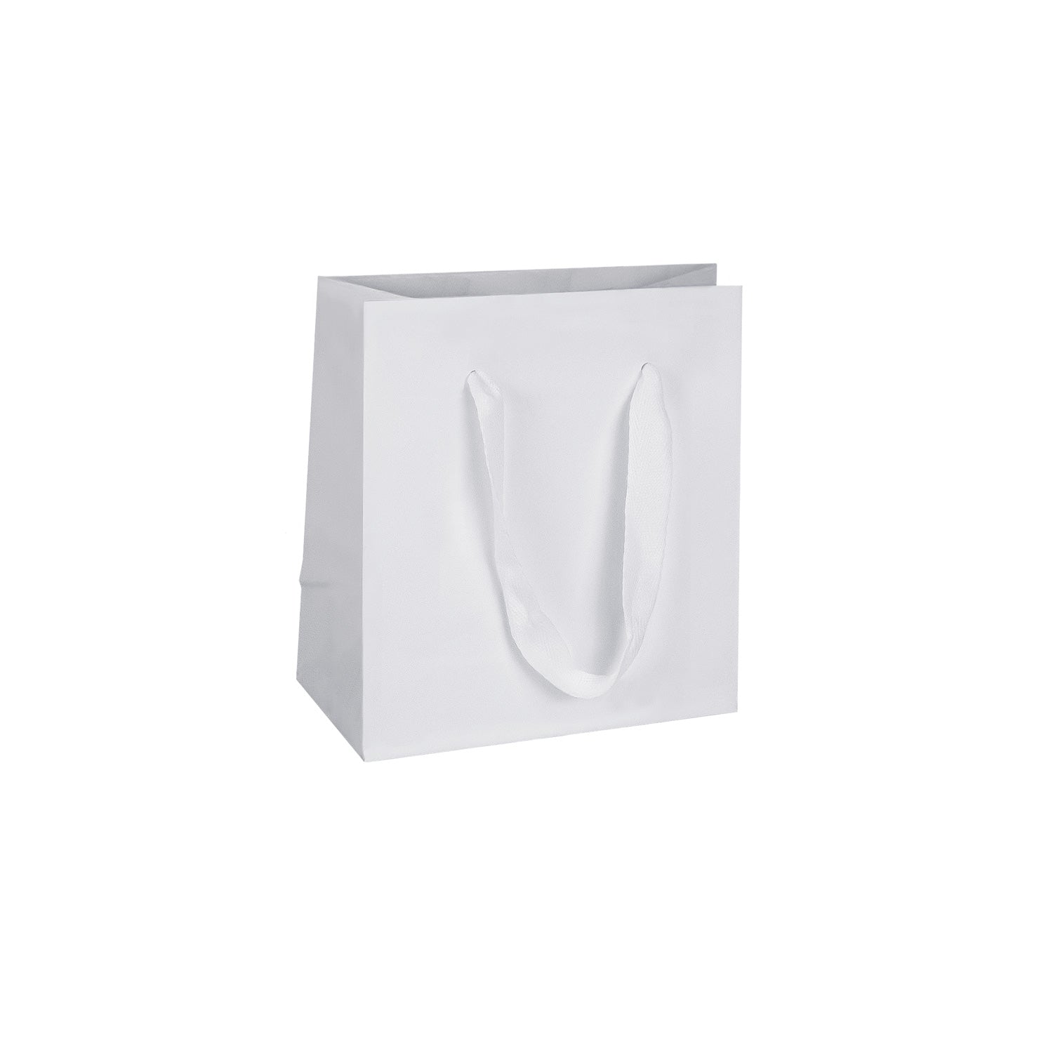 PREMIUM PAPER BAGS W/COTTON TWILL HANDLE (NEW YORKER)