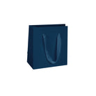 PREMIUM PAPER BAGS W/COTTON TWILL HANDLE (NEW YORKER)