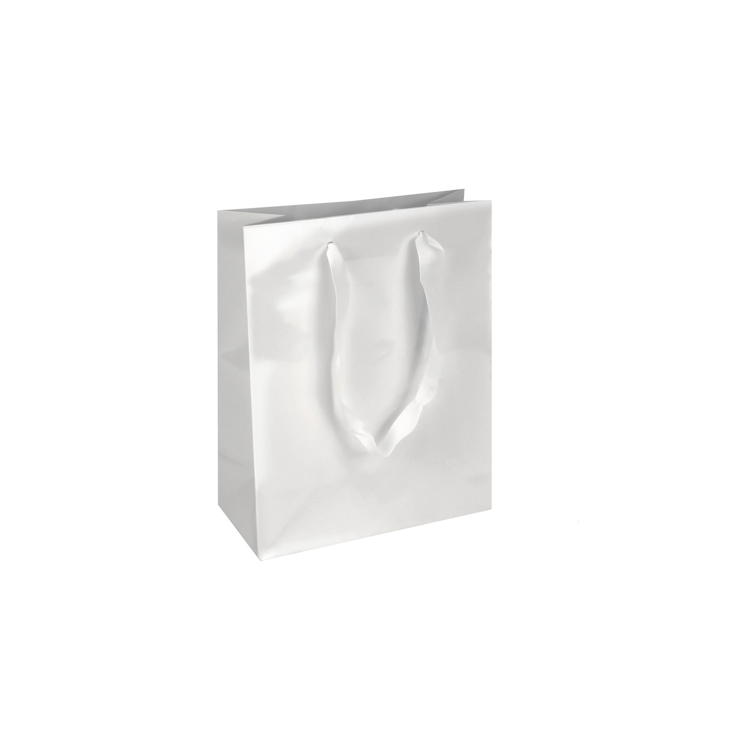 GLOSSY PREMIUM BAGS W/SATIN HANDLE (OXFORD)