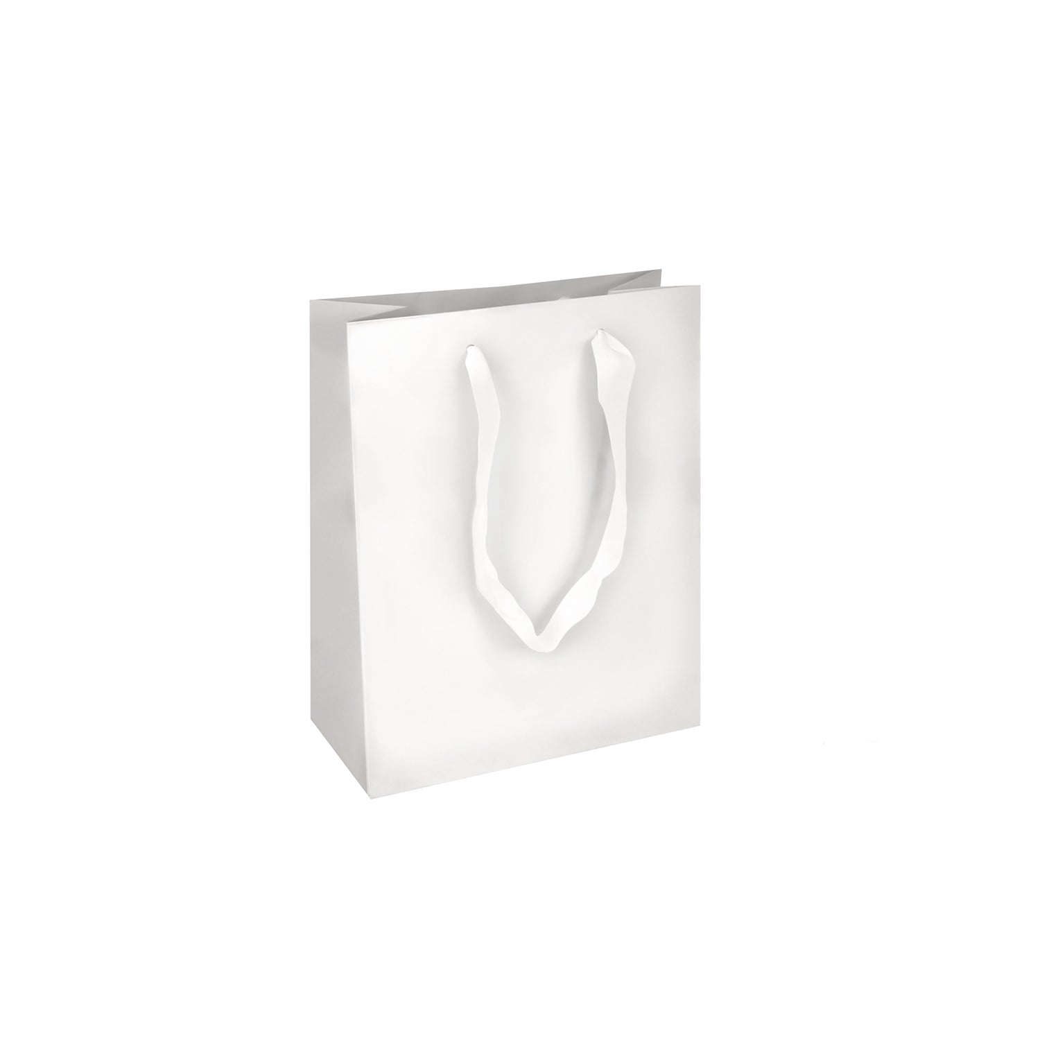 MATTE PREMIUM BAGS W/SATIN HANDLE (OXFORD)