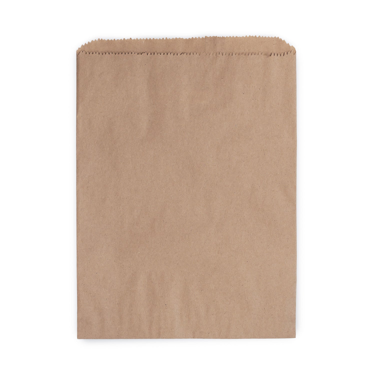 KRAFT NOTION PAPER BAGS