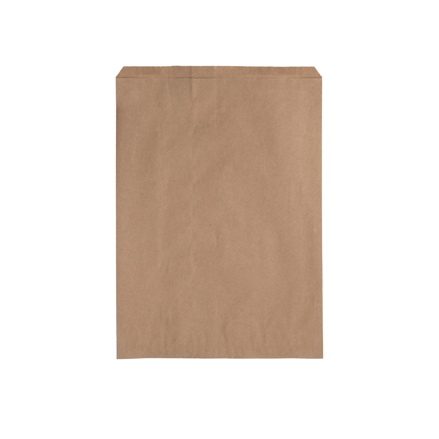 KRAFT NOTION PAPER BAGS