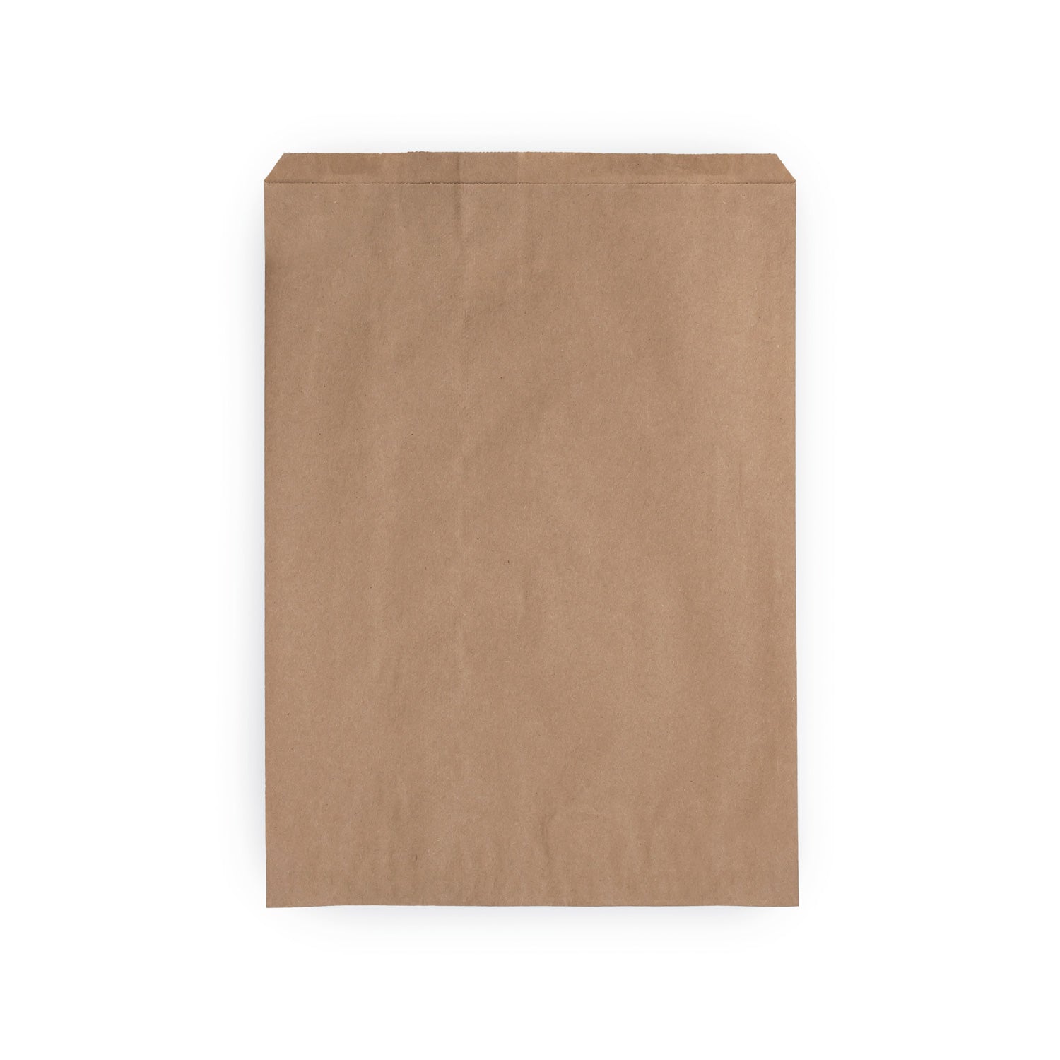 KRAFT NOTION PAPER BAGS